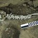 An example of a vertebrae-on-post inserted into a skull, in an apparent attempt to “reconstruct” a body.